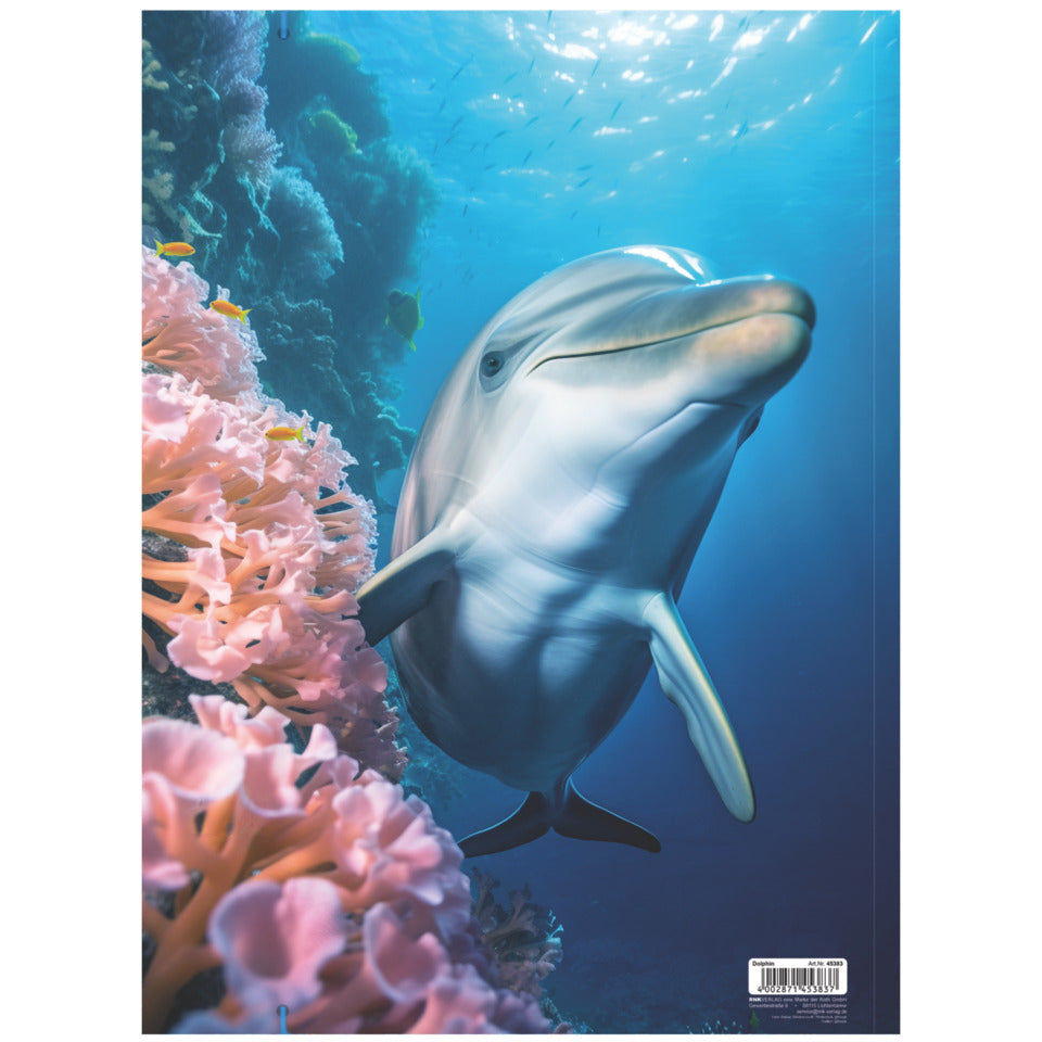 Gummizugmappe Dolphin, 320 x 430 cm, A3 RNK 45383 RNK 45383 320x430mm