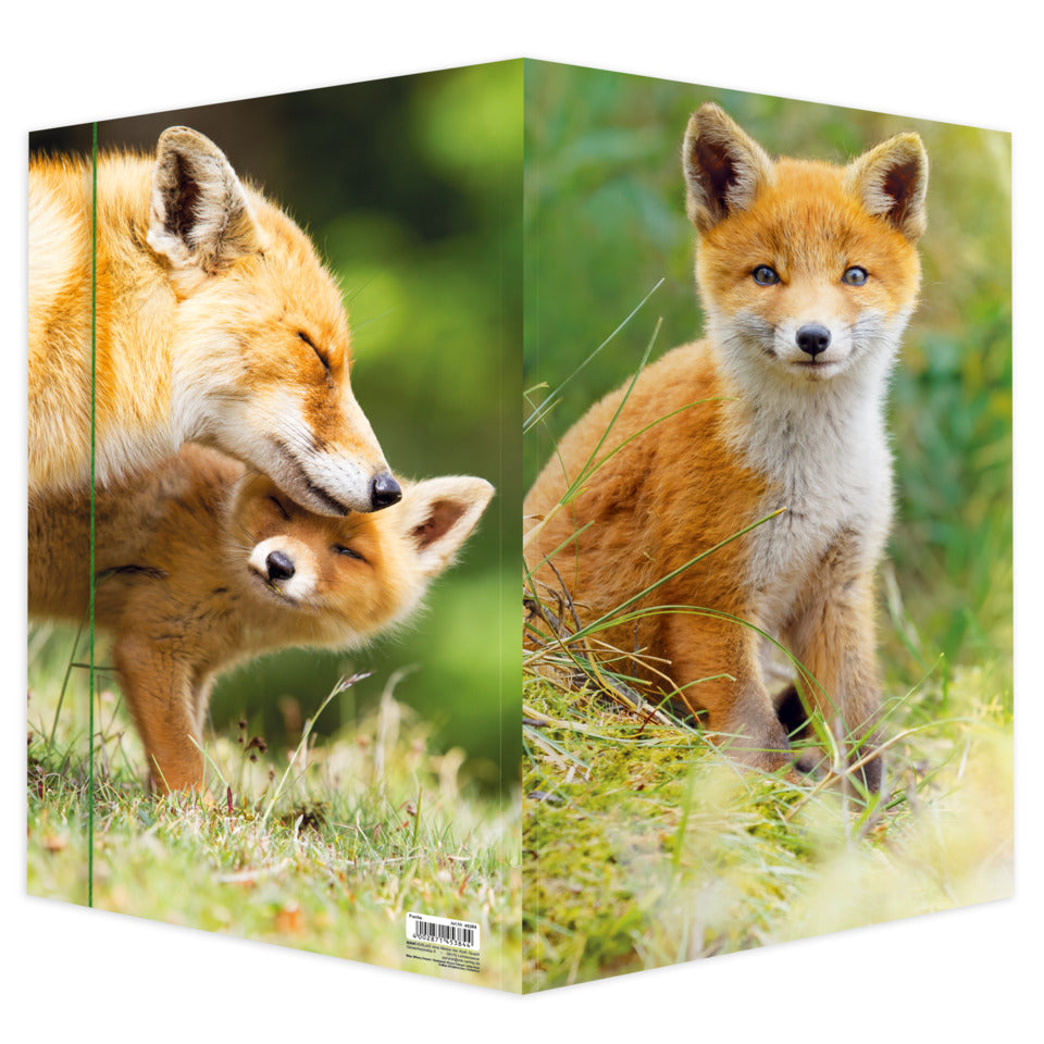 Zeichenmappe Fuchs, 320 x 430 cm, A3 RNK 45384 RNK 45384 320x430mm
