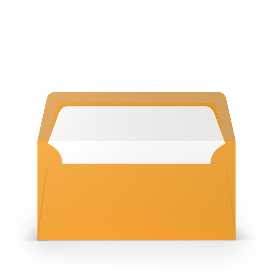 Briefumschlag Paperado, DIN lang, 100g/m², SF, nassklebend, ocker RÖSSLER 16400243 RÖSSLER 16400243   110x220mm gerippt