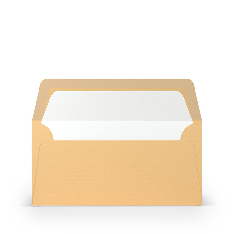 Briefumschlag Paperado, DIN lang, 100g/m², SF, 
nassklebend, melon RÖSSLER 164002122 RÖSSLER 164002122   110x220mm gerippt