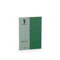 Briefumschlag Coloretti, B6, 80g/m², nassklebend, 5 Stück, forest RÖSSLER 220720571 COLORETTI 220720571