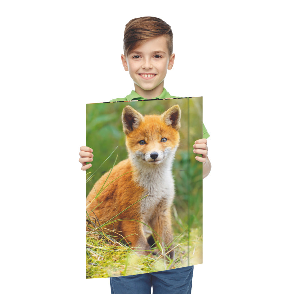 Zeichenmappe Fuchs, 320 x 430 cm, A3 RNK 45384 RNK 45384 320x430mm