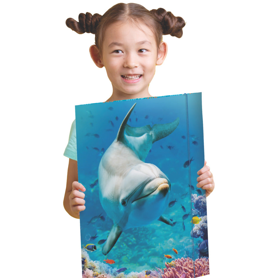 Gummizugmappe Dolphin, 320 x 430 cm, A3 RNK 45383 RNK 45383 320x430mm