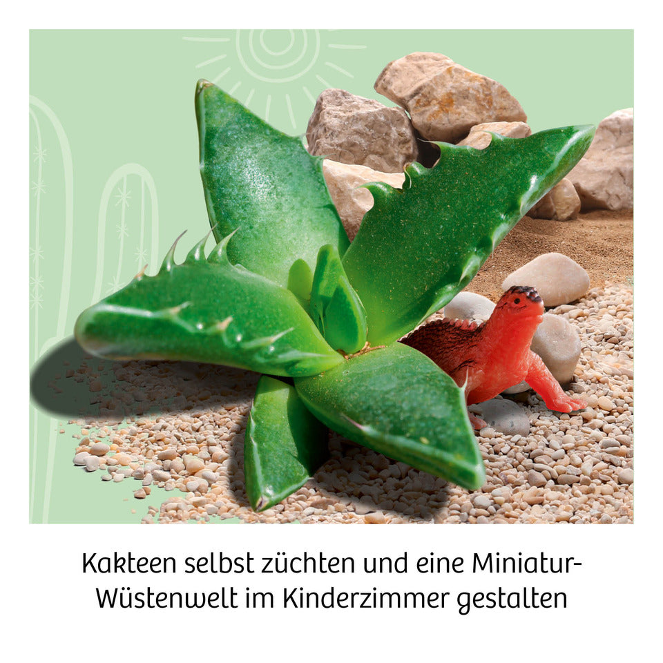 Experimentierkasten Kakteen-Wüste KOSMOS 658250