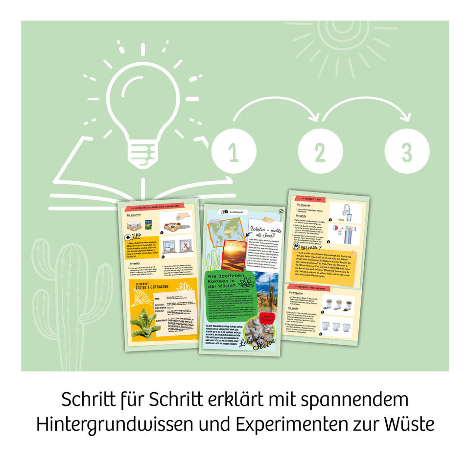 Experimentierkasten Kakteen-Wüste KOSMOS 658250