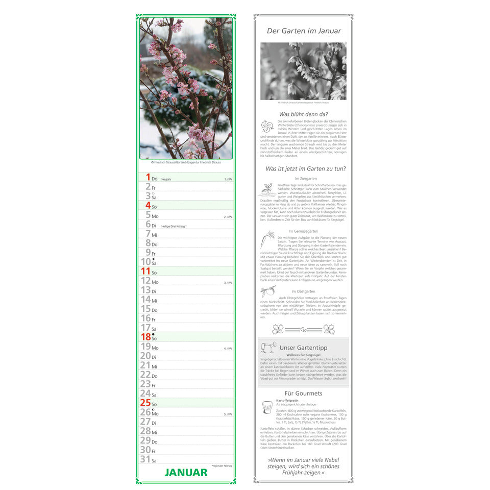 Streifenkalender Gartenplaner, 11,3 x 49,5 cm, 1M/1S ALPHA 111601 ALPHA 111601 11,3x49,5cm