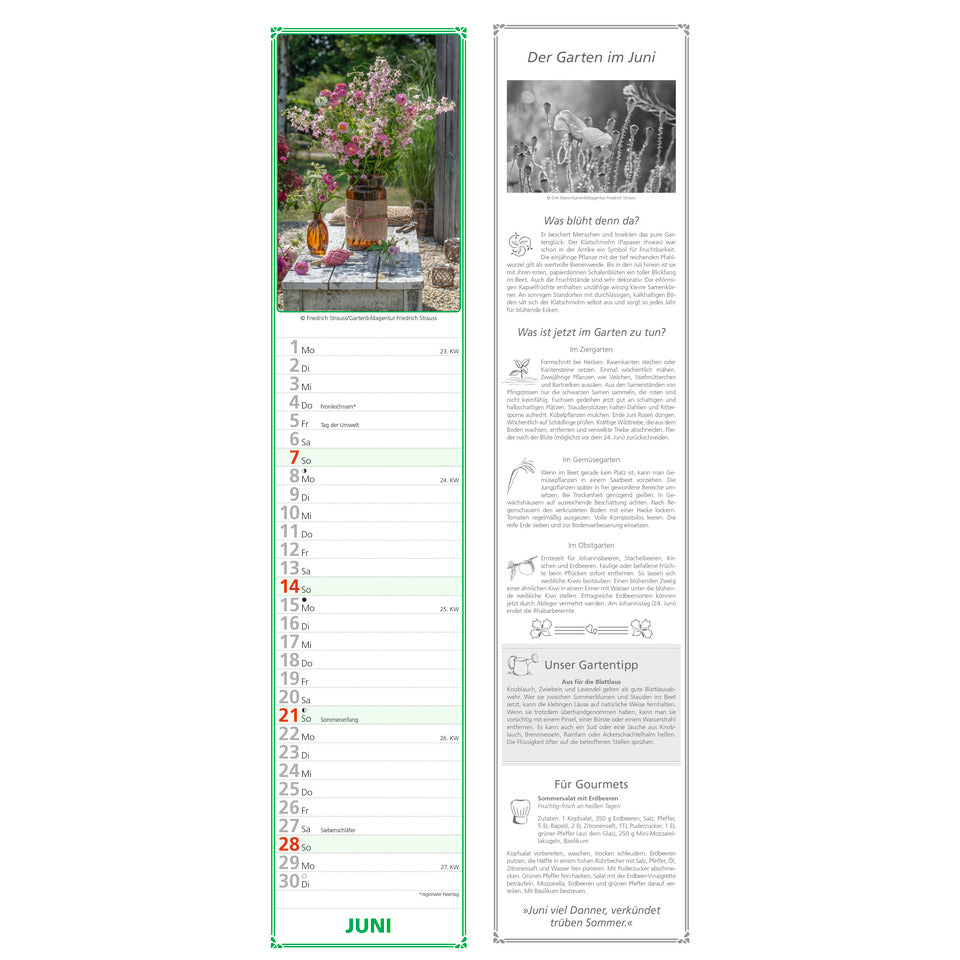 Streifenkalender Gartenplaner, 11,3 x 49,5 cm, 1M/1S ALPHA 111601 ALPHA 111601 11,3x49,5cm