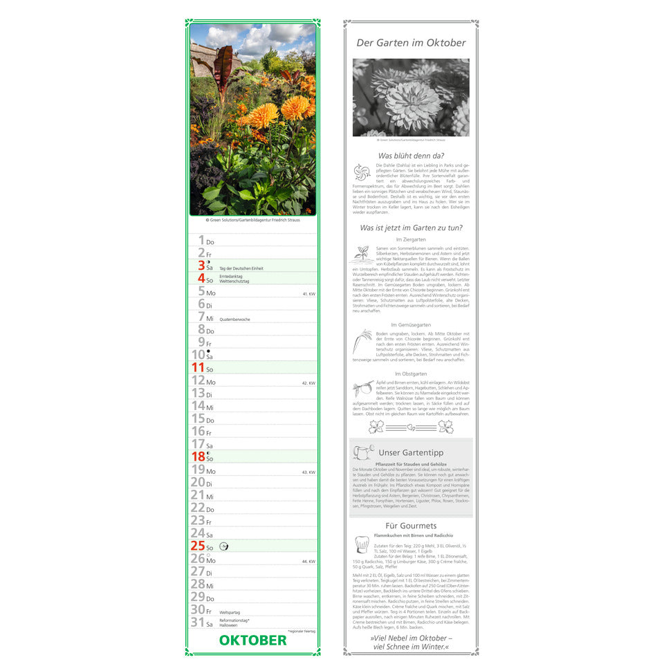 Streifenkalender Gartenplaner, 11,3 x 49,5 cm, 1M/1S ALPHA 111601 ALPHA 111601 11,3x49,5cm