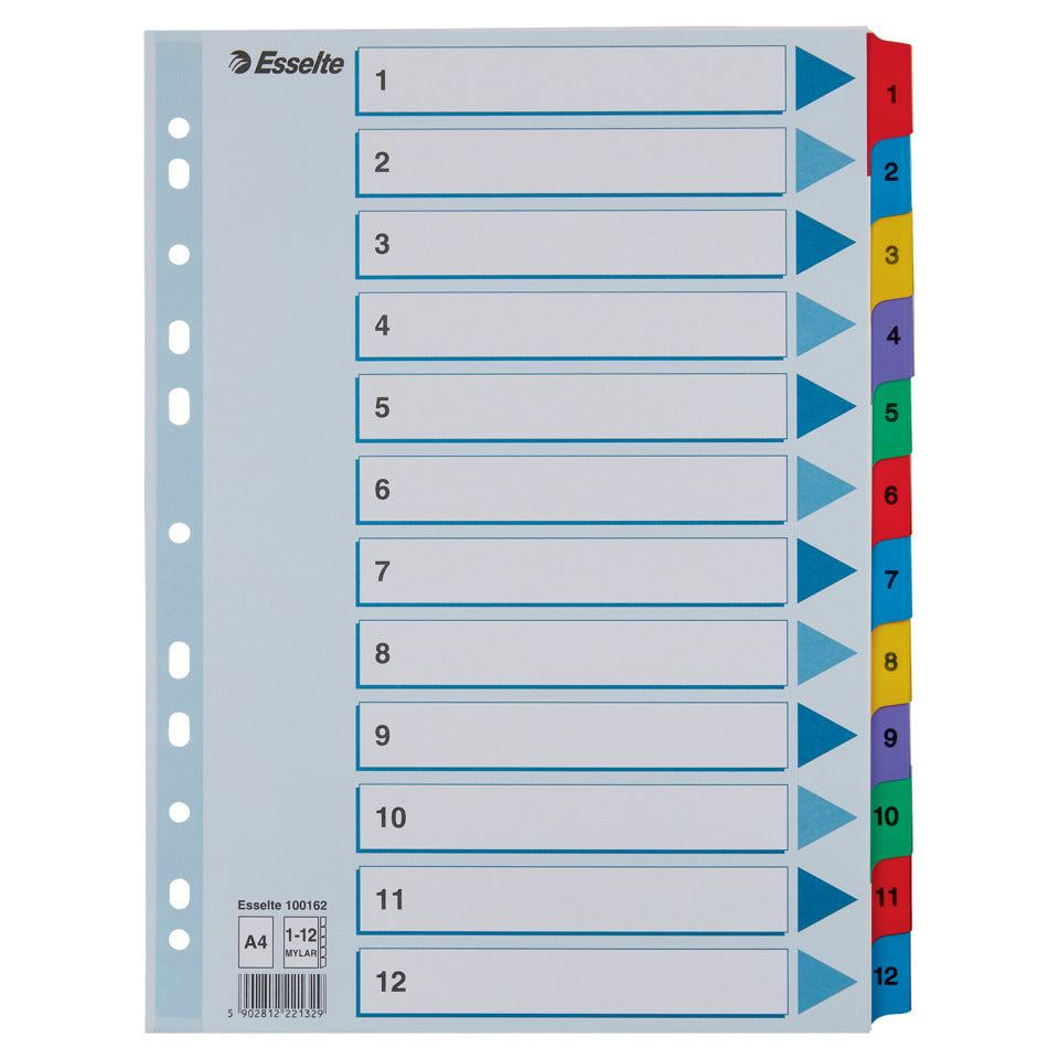 Kartonregister 1-12, A4, Karton, 12 Blatt, weiss ESSELTE 100162 ESSELTE 100162 Karton fbg.Tabs