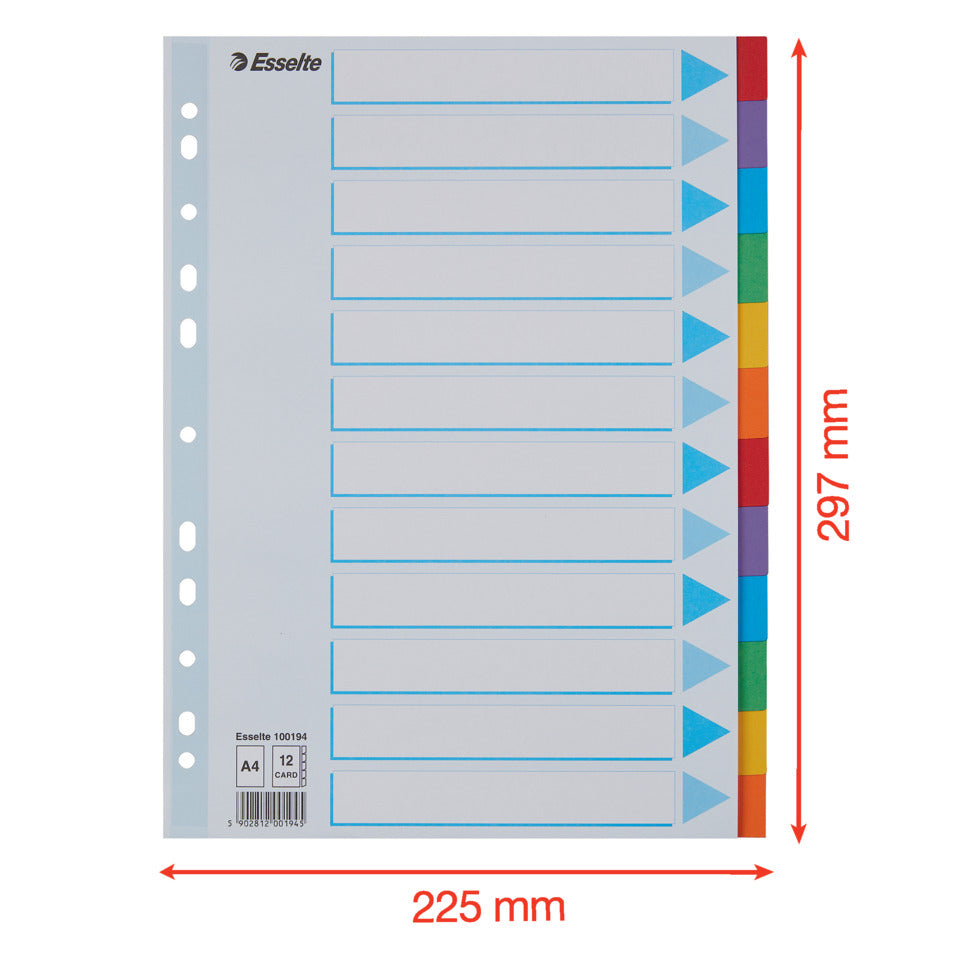 Kartonregister Standard Blanko, A4, Karton, 12 Blatt, weiss ESSELTE 100194 ESSELTE 100194 Karton fbg.Tabs