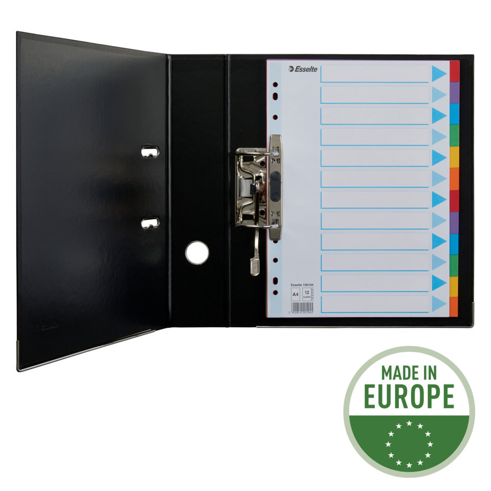 Kartonregister Standard Blanko, A4, Karton, 12 Blatt, weiss ESSELTE 100194 ESSELTE 100194 Karton fbg.Tabs