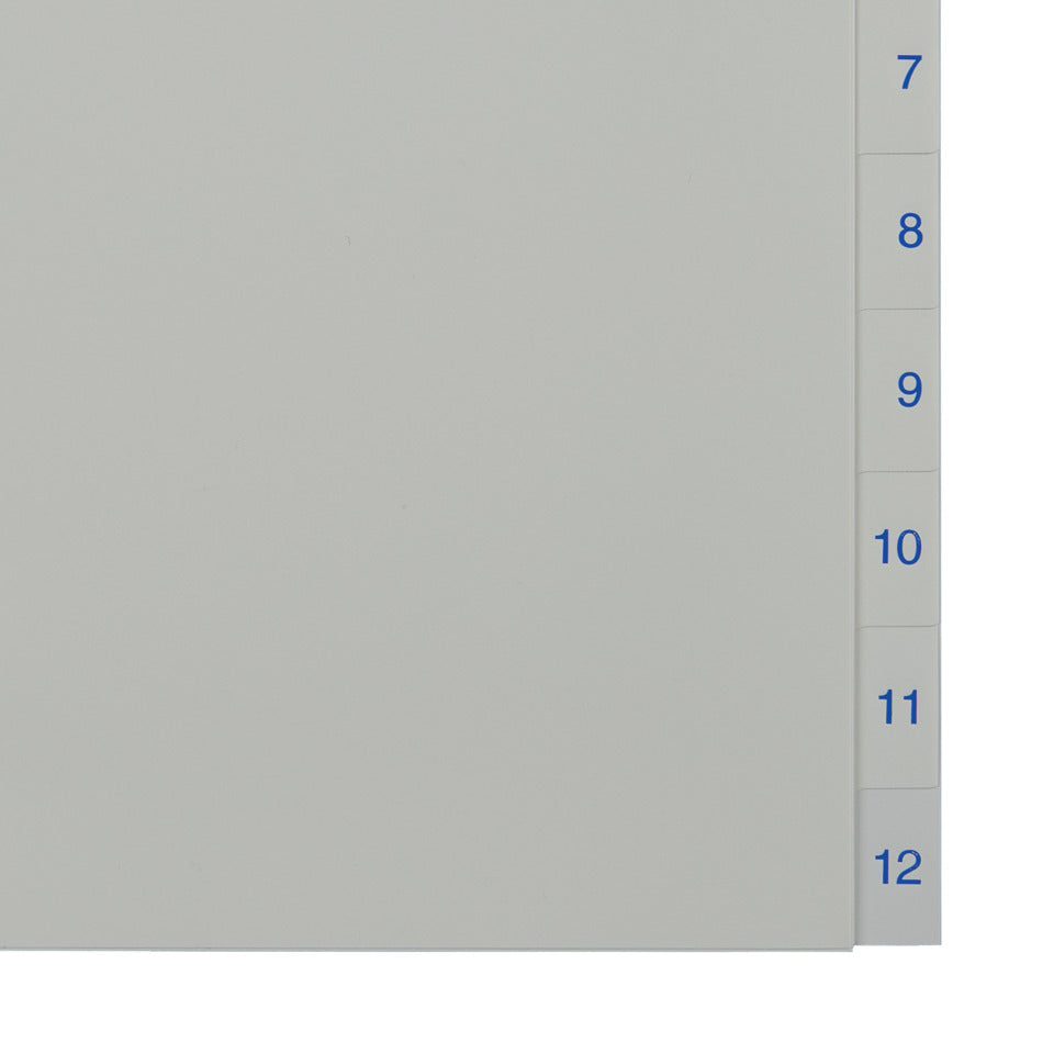 Plastikregister Economy 1-12, A4, PP, 12 Blatt, weiss ESSELTE 100153 ESSELTE 100153 Plastik 12tlg.