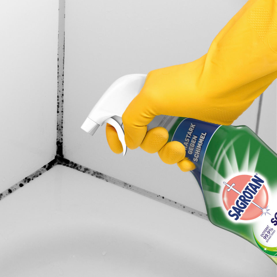 Schimmelentferner 750ml SAGROTAN 3284270