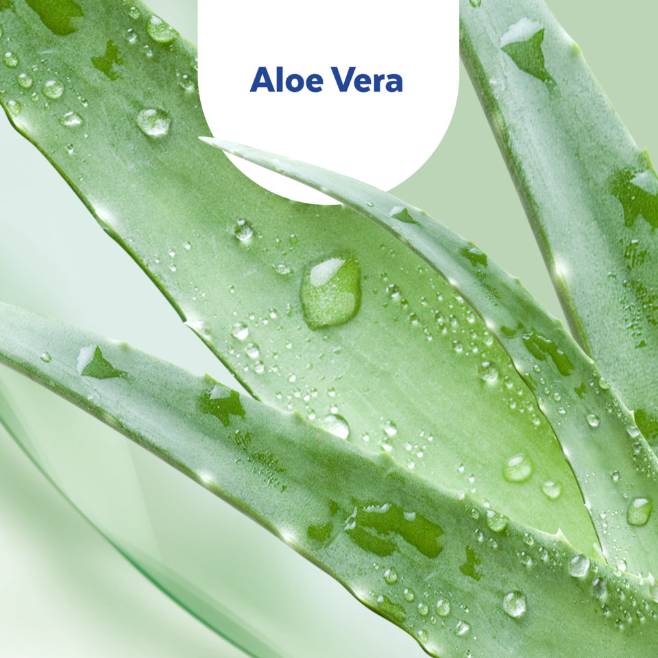 Hand-Desinfektionsgel mit Aloe Vera 50ml SAGROTAN 3204789