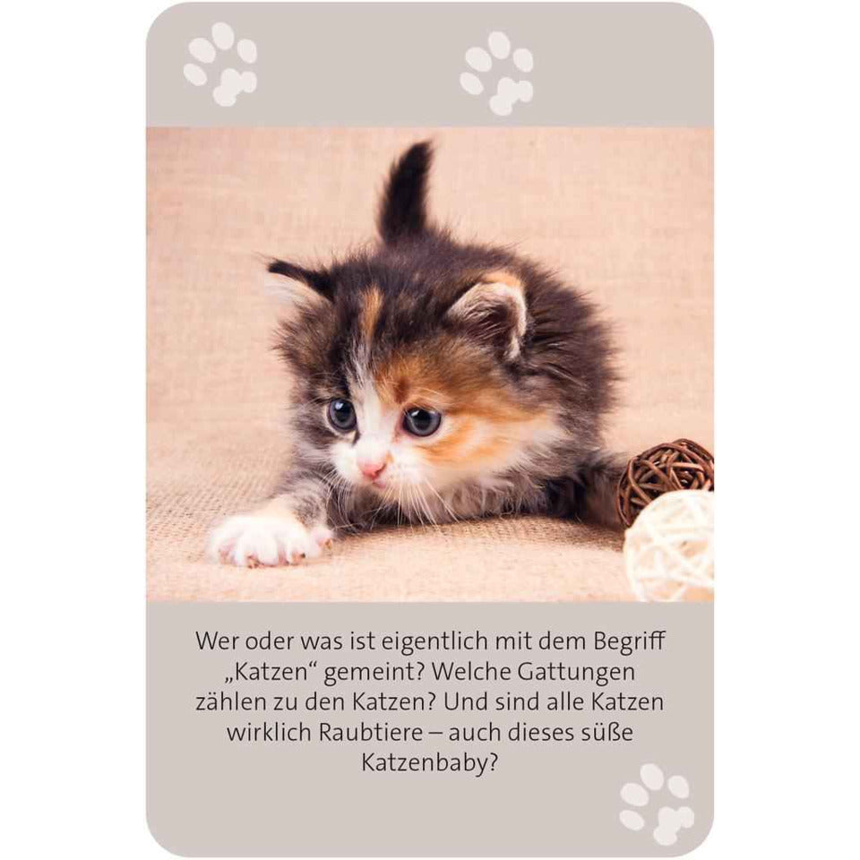 Kartenspiel Das große Katzen Quiz MOSES 53416 MOSES. 53416