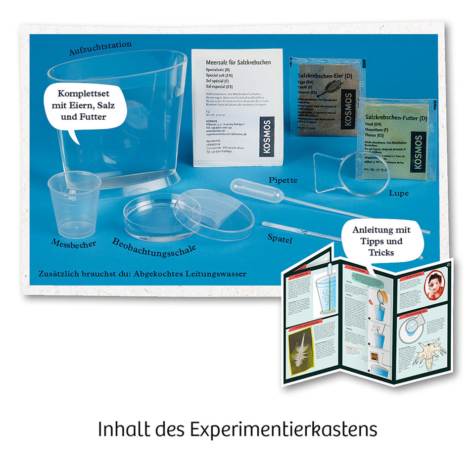 Mitbringspiel Experiment Urzeit-Krebse KOSMOS 657871 KOSMOS 659219/657871 Urzeit-Krebse