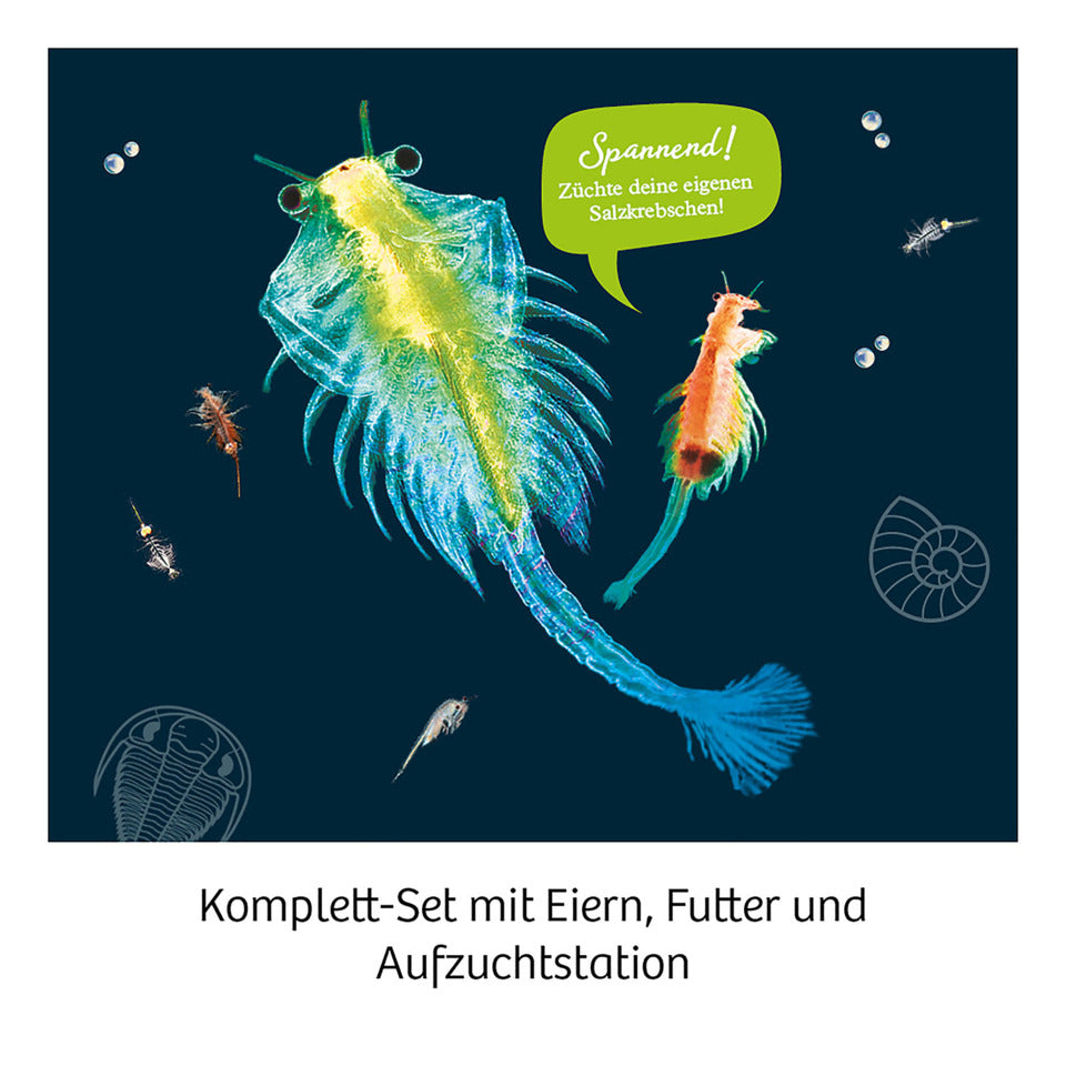 Mitbringspiel Experiment Urzeit-Krebse KOSMOS 657871 KOSMOS 659219/657871 Urzeit-Krebse