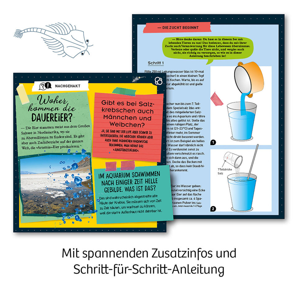 Mitbringspiel Experiment Urzeit-Krebse KOSMOS 657871 KOSMOS 659219/657871 Urzeit-Krebse