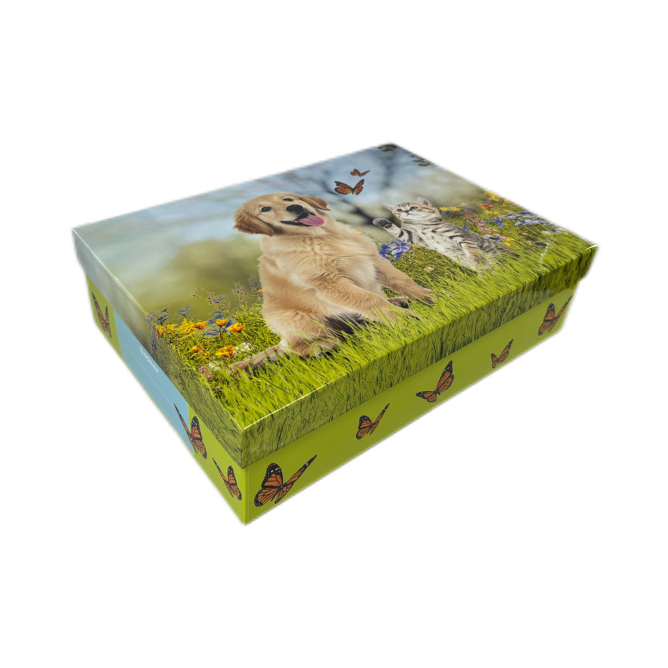 Schulbedarfsschachtel Bello & Kitty DONAU 8400105-01