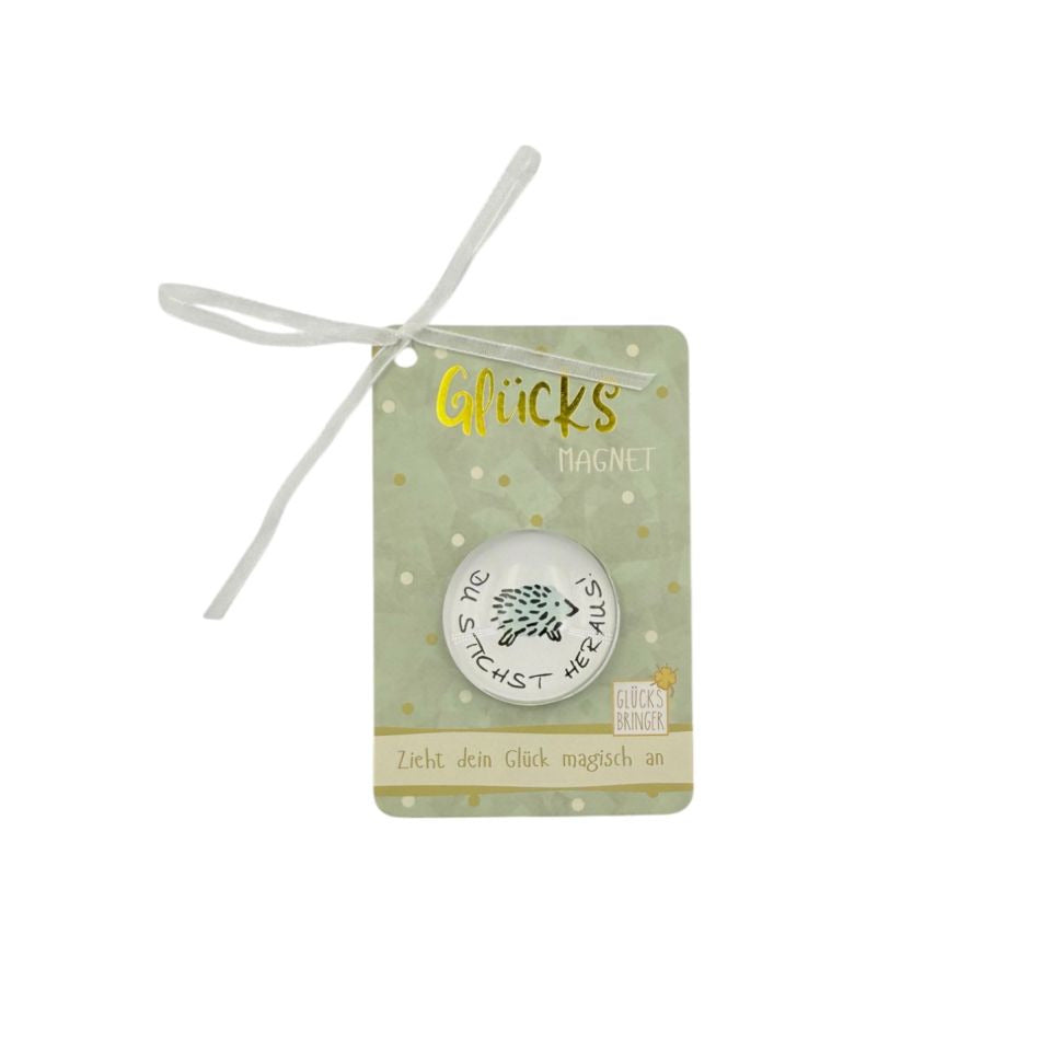 Magnet Glücksbringer Winter sortiert HERGO 5495