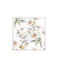 Motivserviette Gänseblümchen, 25 x 25 cm, 3-lagig, 20 Stück AMBIENTE 12519545 AMBIENTE 12519545 20ST