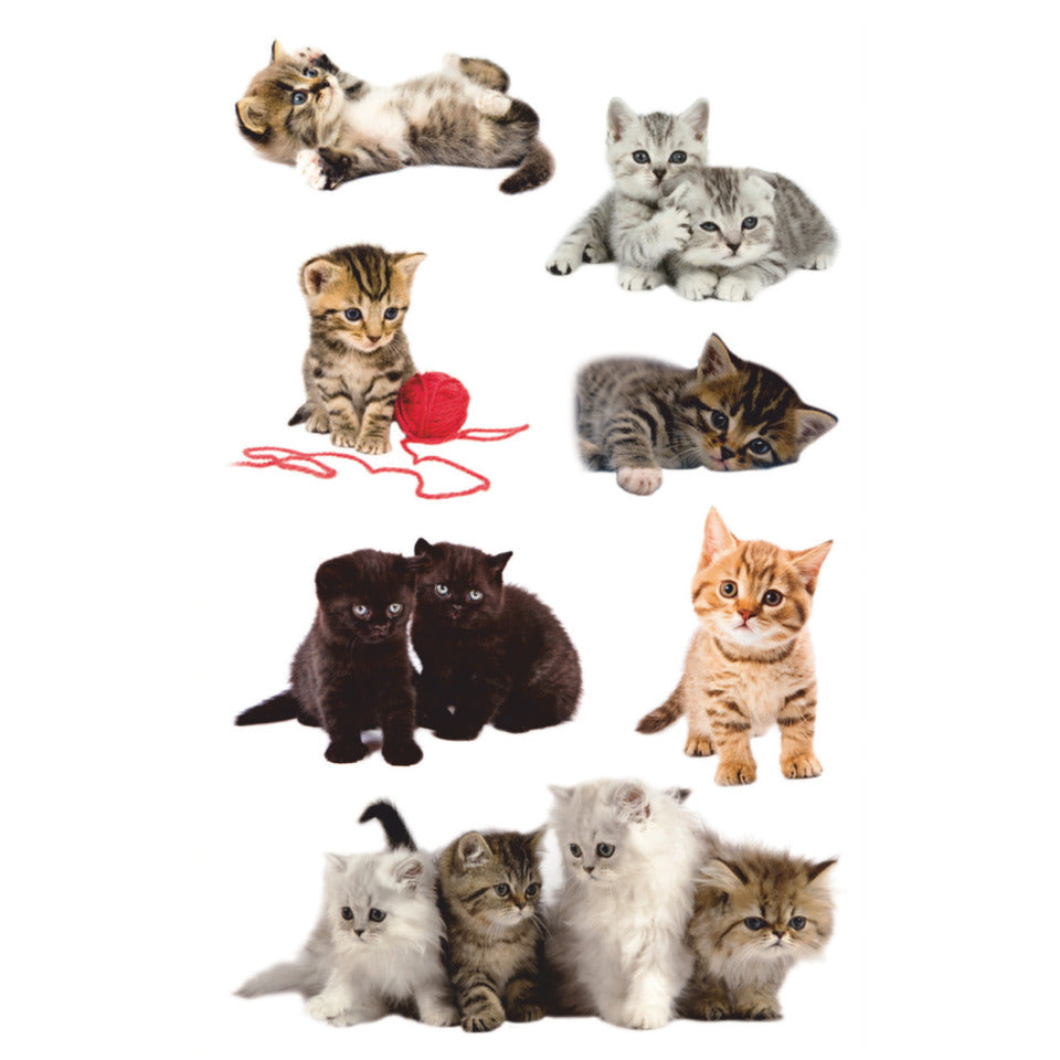 Schmucketikett Katzen, 21 Stück AVERY ZWECKFORM 55971 ZWECKFORM 55971 beglimme