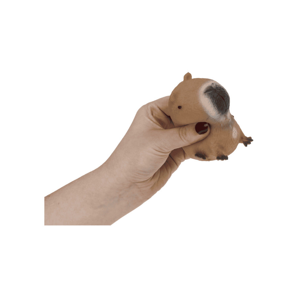 Quetschfigur Squeeze Capybara, 6,5 cm OUT OF THE BLUE 62/6305 OOTB 62/6305 6,5cm