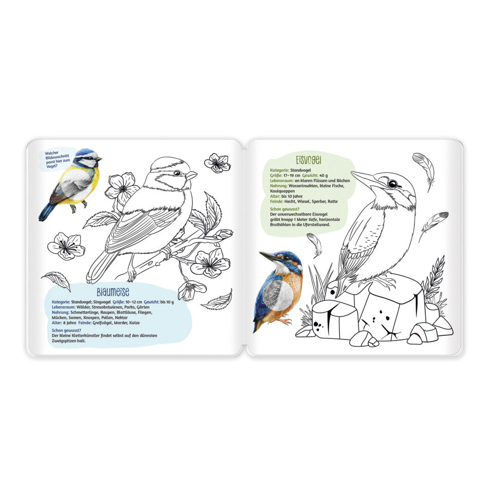 Stickermalbuch Unsere Vogelwelt mit Stickern. 21 x 21 cm TRÖTSCH 20551 TRÖTSCH 20551 21x21cm