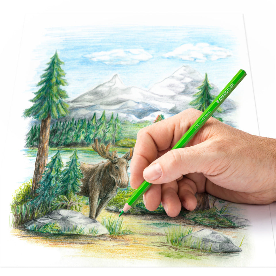 Farbstiftetui Me Time, 16 Stück, sortiert STAEDTLER 146C C16