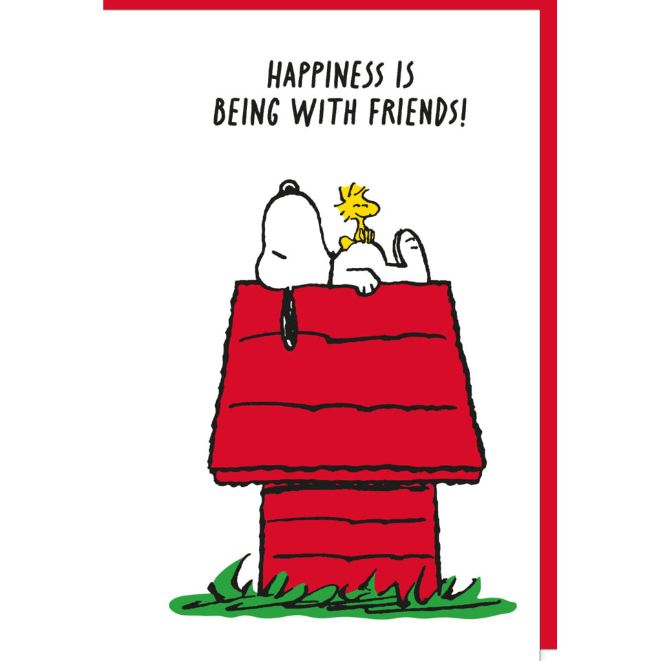 Allgemeine Glückwunschkarte Snoopy englisch, 11,5 x 17 cm BRAUN + COMPANY 5080-26000 BRAUN + COMPANY 5080-26000 englisch