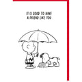 Allgemeine Glückwunschkarte Snoopy, 11,5 x 17 cm BRAUN + COMPANY 5080-26004 BRAUN + COMPANY 5080-26004 englisch
