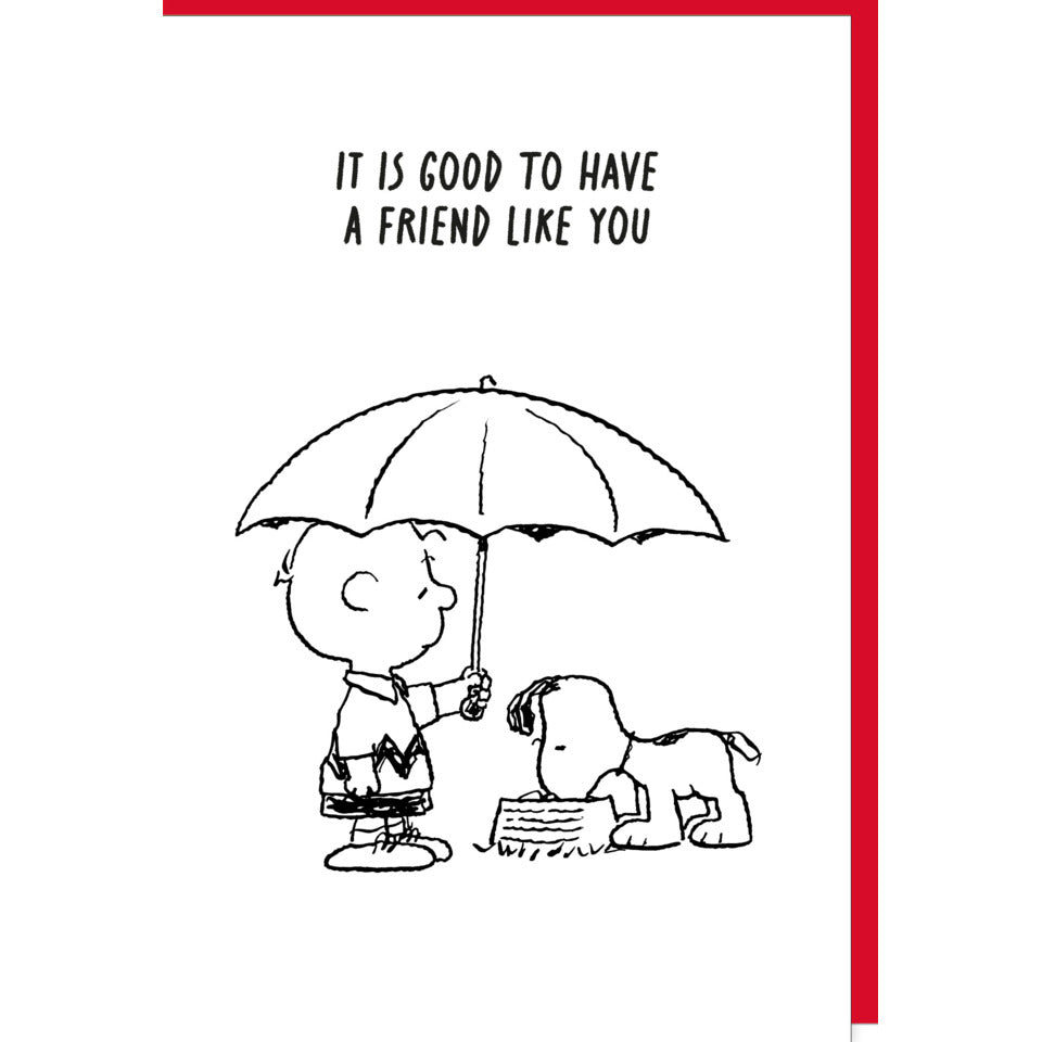 Allgemeine Glückwunschkarte Snoopy, 11,5 x 17 cm BRAUN + COMPANY 5080-26004 BRAUN + COMPANY 5080-26004 englisch