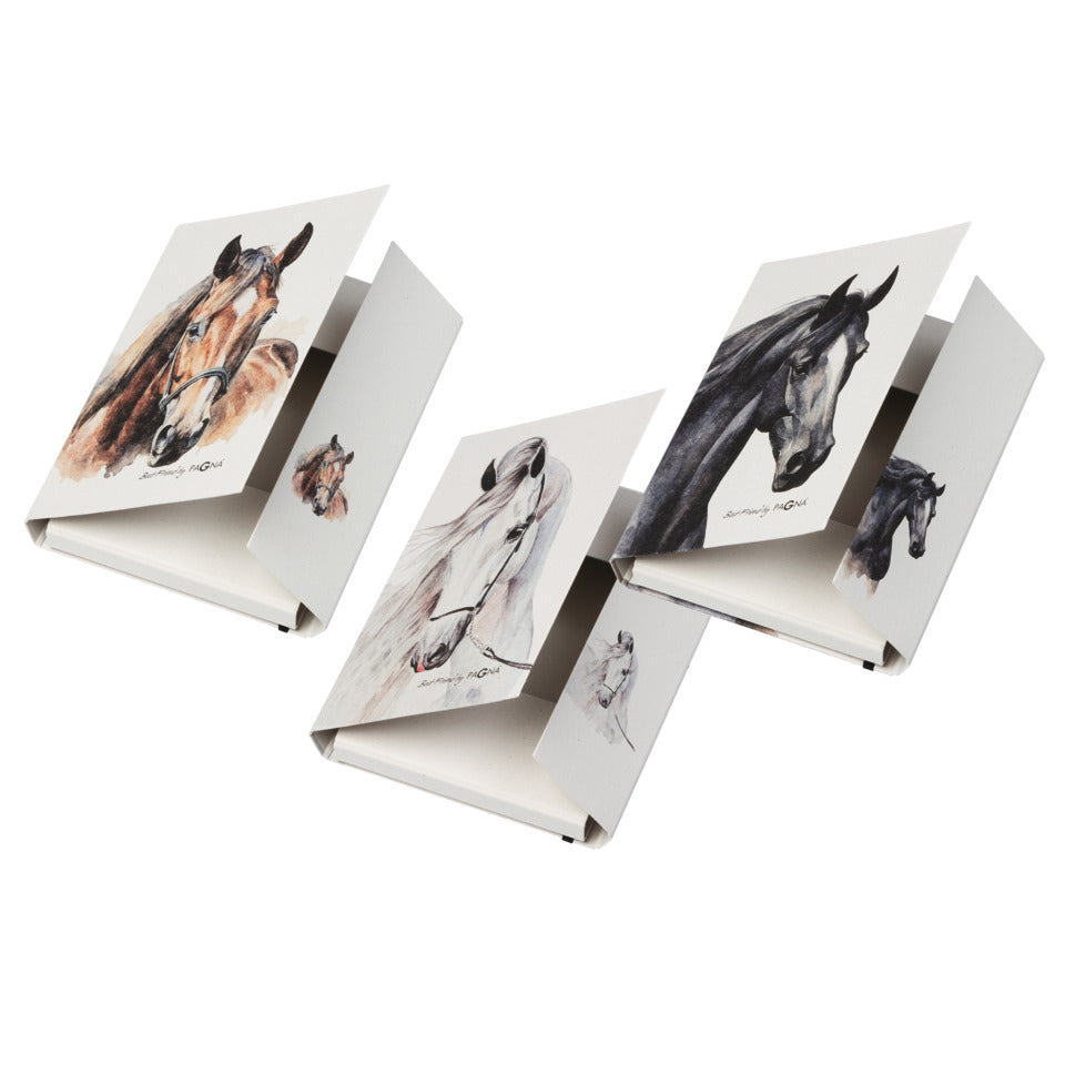 Heftbox Best Friend, A4, sortiert PAGNA 21355-25 PAGNA 21355-25 mit Gummizug
