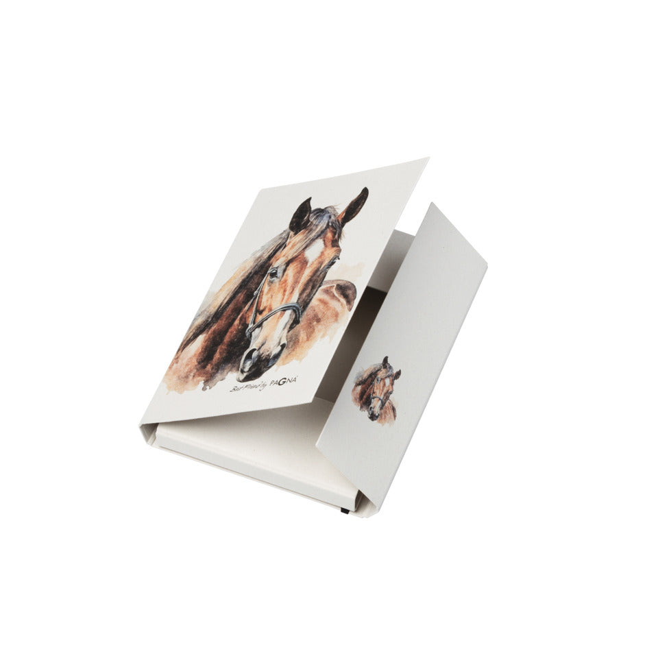 Heftbox Best Friend, A4, sortiert PAGNA 21355-25 PAGNA 21355-25 mit Gummizug
