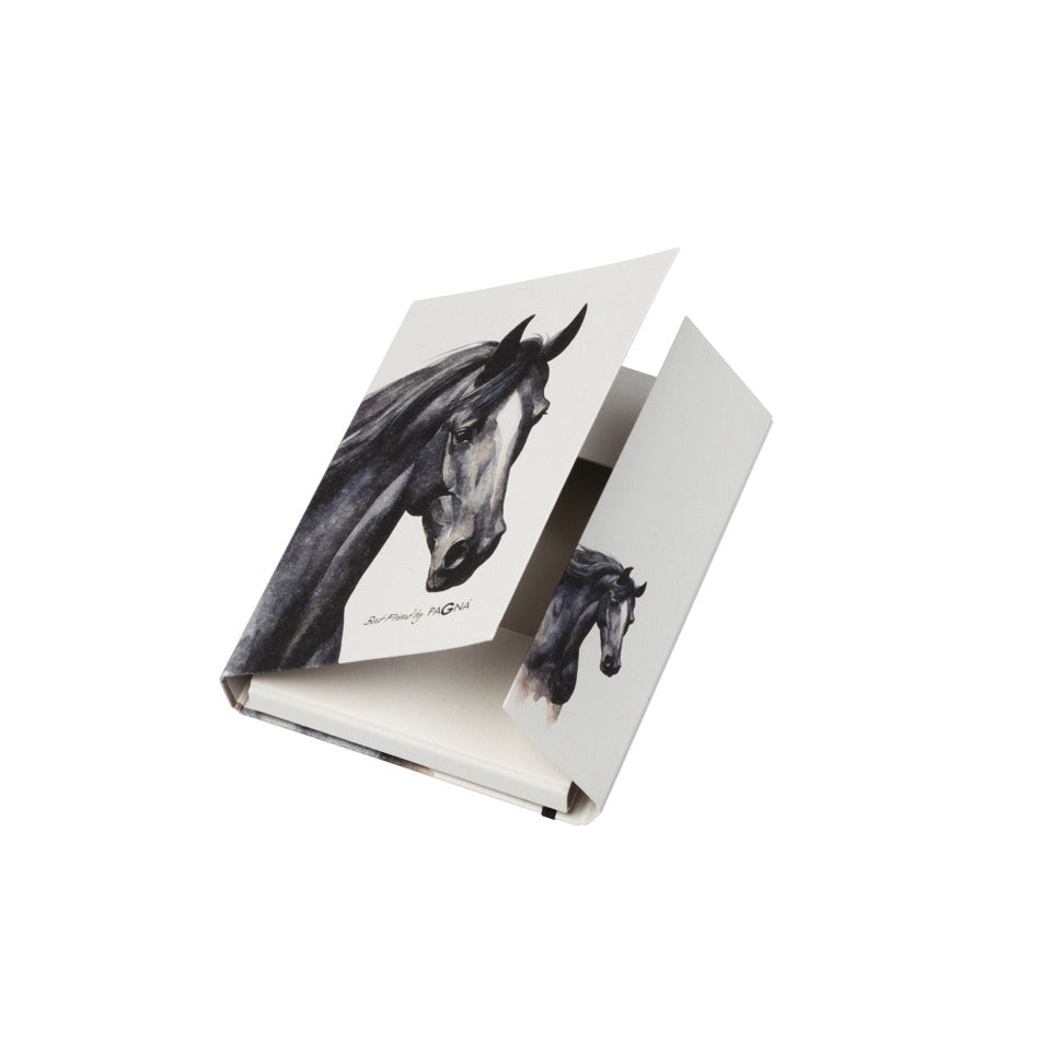 Heftbox Best Friend, A4, sortiert PAGNA 21355-25 PAGNA 21355-25 mit Gummizug