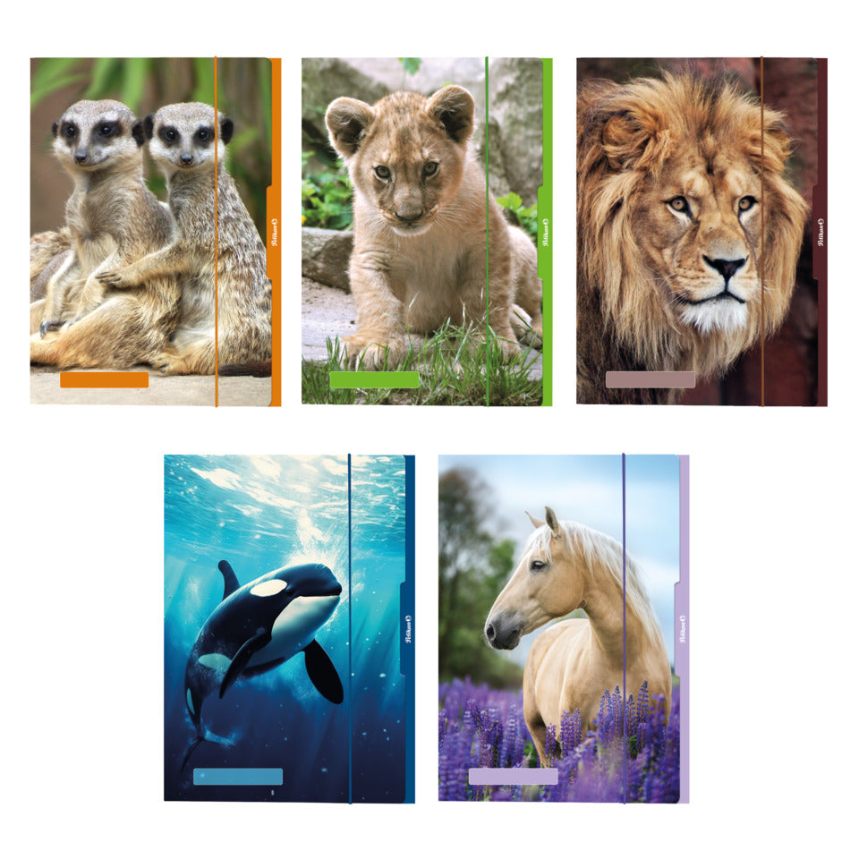 Sammelmappe Tiere, A3, Karton, sortiert PELIKAN 300004007 PELIKAN 300004007 276887