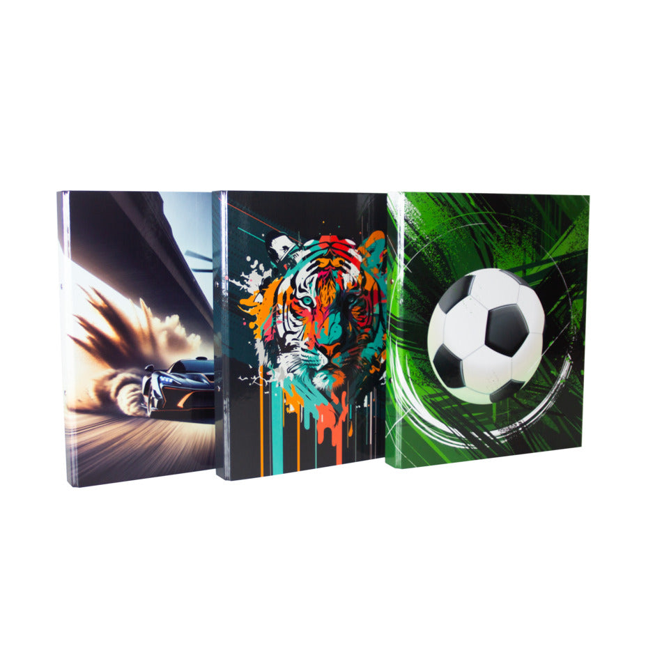 Ringmappe Kids Boys, A4, 2-Ring, sortiert DONAU 2764344-99 DONAU 2764344-99 A4/2R