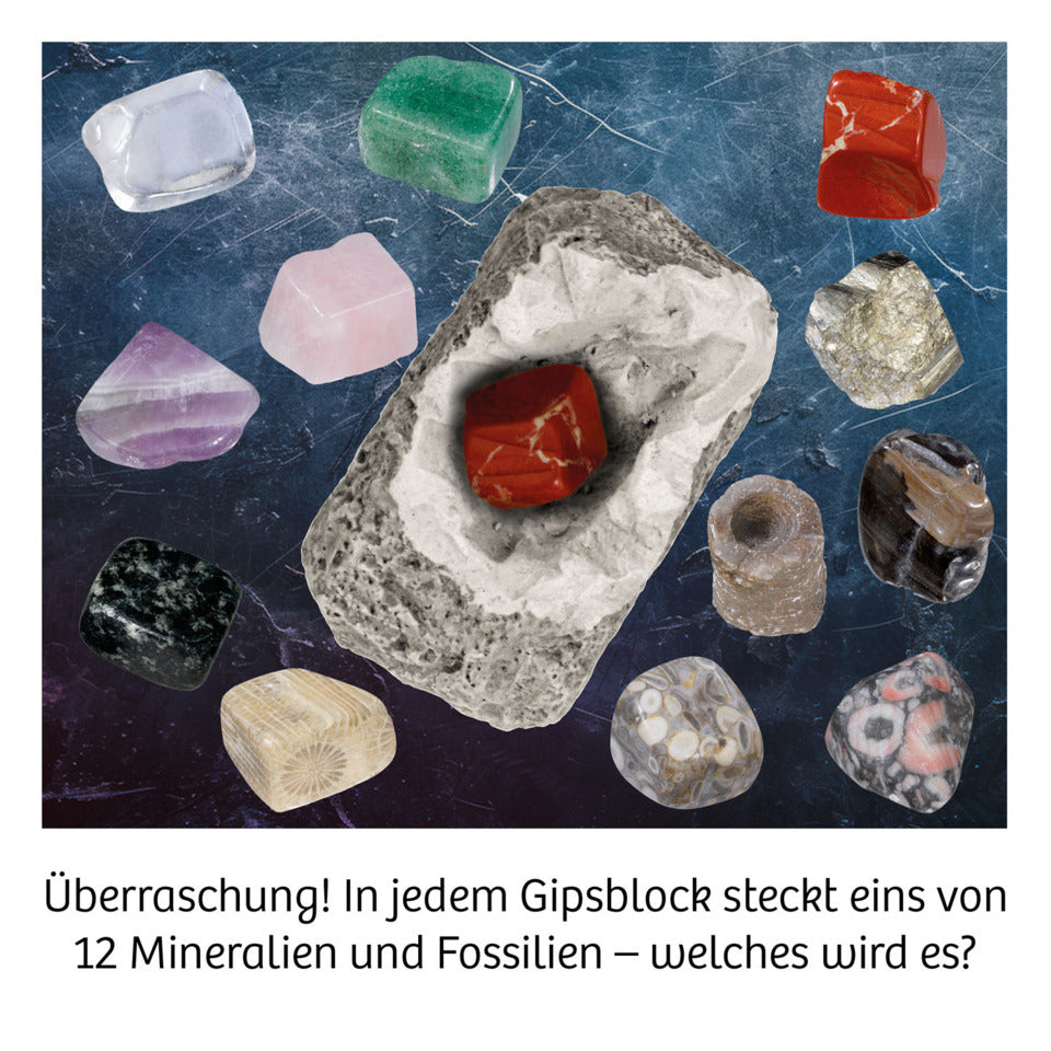 Ausgrabungsset Mineralien, sortiert KOSMOS 601362 KOSMOS 601362 i.Display