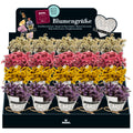 Mini-Sträußchen Blumengrüße, 5 x 11 cm, sortiert MOSES 83584