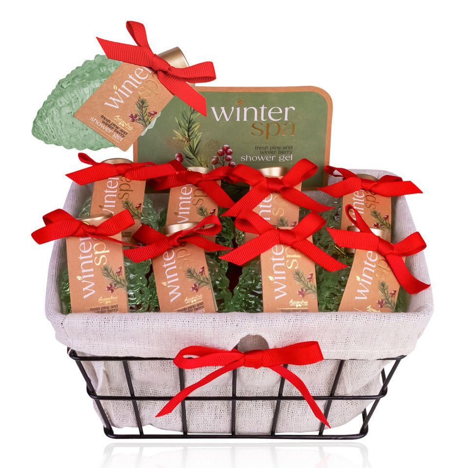 Duschgel 60ml Winter Spa Zapfen im Drathkorb grün ACCENTRA 8163402 ACCENTRA 8163402 60ml