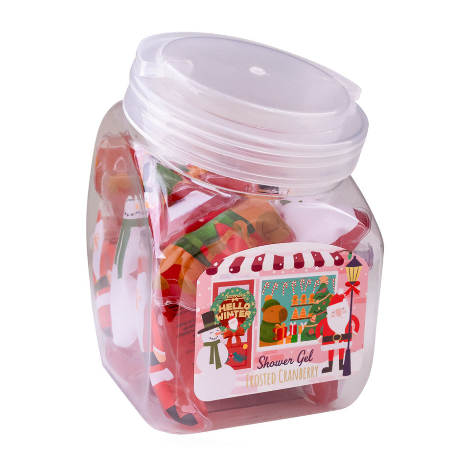 Duschgel 50ml mini Hello Winter sortiert ACCENTRA 8163469 ACCENTRA 8163469 50ml