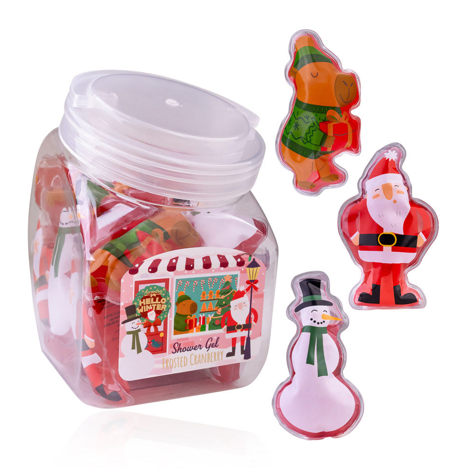 Duschgel 50ml mini Hello Winter sortiert ACCENTRA 8163469 ACCENTRA 8163469 50ml