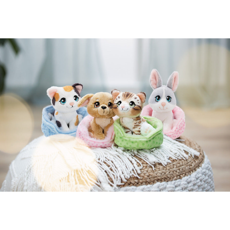 Kuscheltier Little Paws, 12 cm, 12 Stück, sortiert NICI 63320 NICI 63320 4 Designs 12 Stück im Display
