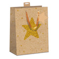 Weihnachts-Geschenktragetasche Goldstern, 23 x 18 x 10 cm, natur SKORPION 7522-2615-M 7522-2615-M 23x18x10cm