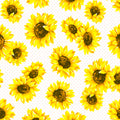 Motivserviette Sonnenblumen, 33 x 33 cm, 3-lagig, 20 Stück PAPER+DESIGN 191944