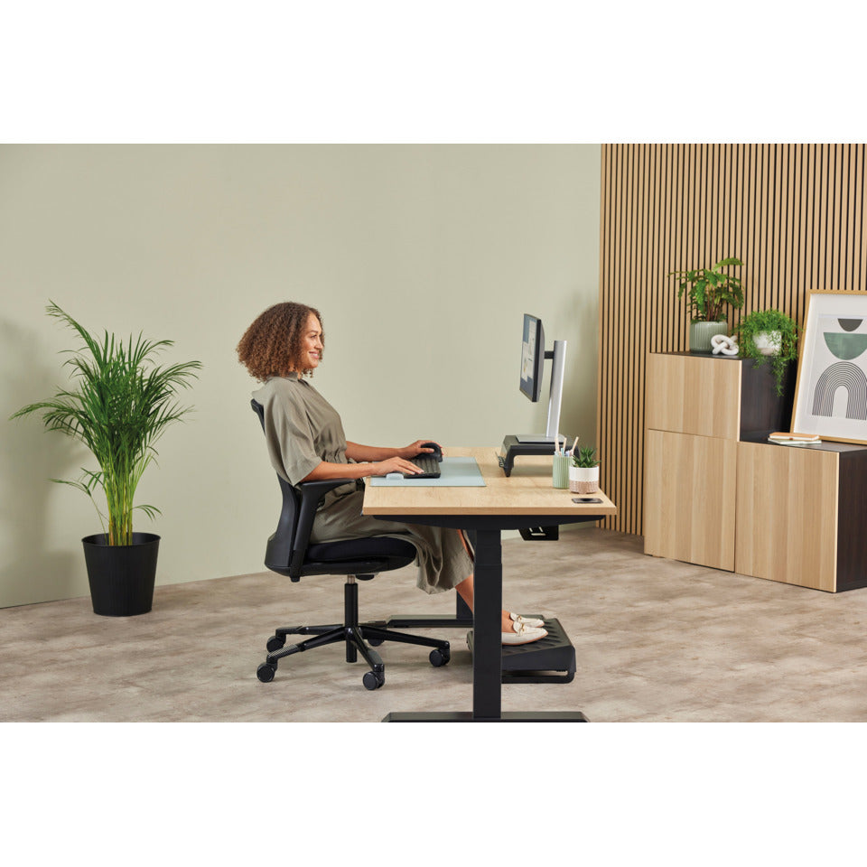 Maus Breyta Plus Klein Vertikal - Rechtshänder, 5 Tasten, 2400 dpi, kabellos, schwarz FELLOWES 100143580 FELLOWES 100143580 Klein Rechtshänder