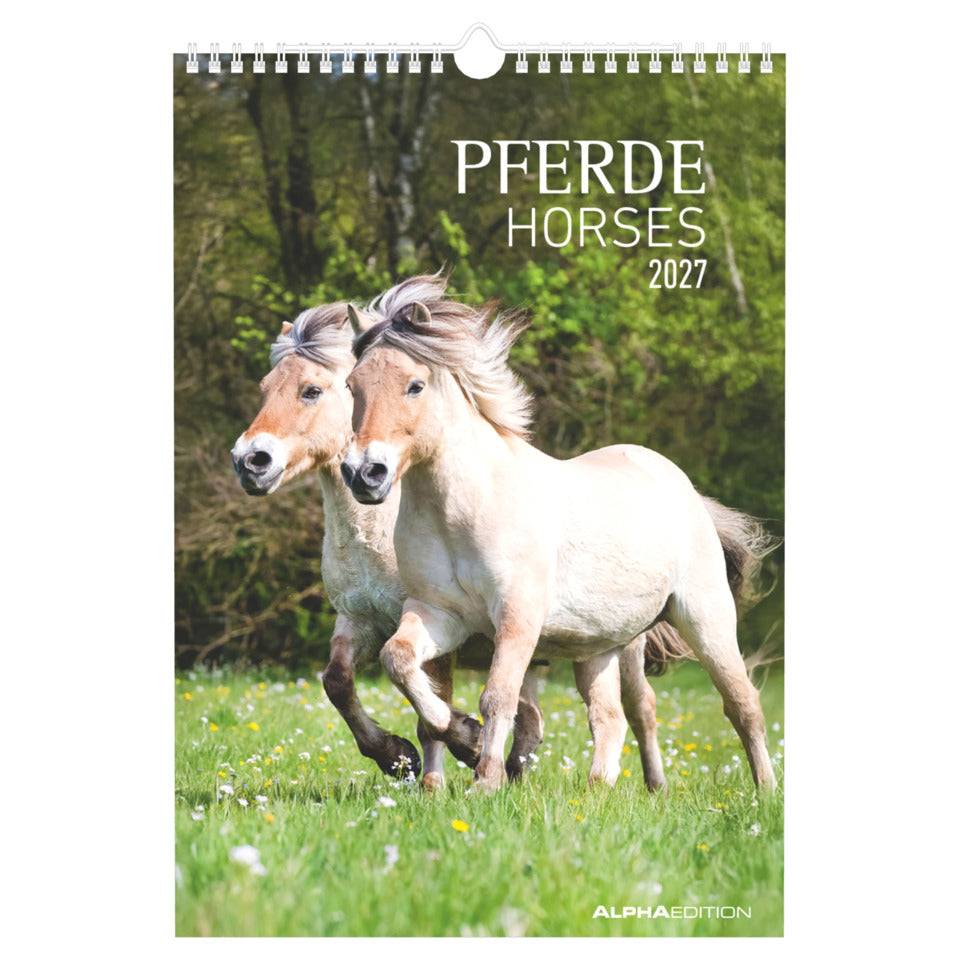 Bildkalender Pferde, 23,7 x 34 cm ALPHA 104801 ALPHA 104801  23,7x34cm