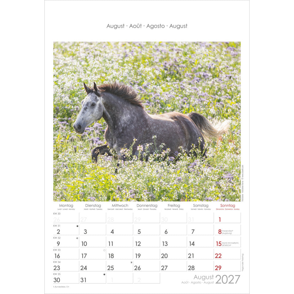 Bildkalender Pferde, 23,7 x 34 cm ALPHA 104801 ALPHA 104801  23,7x34cm