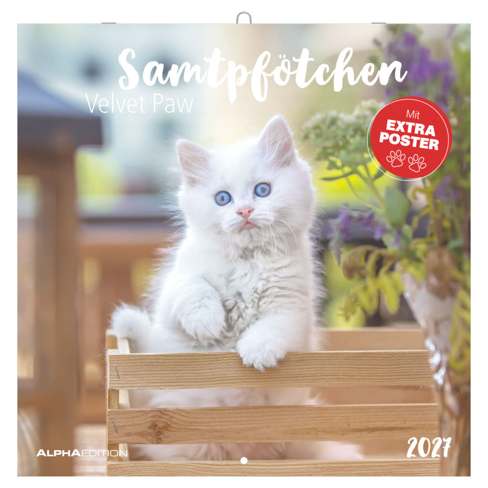 Bildkalender Samtpfötchen 2027, 30 x 30 cm, 1M/1S ZETTLER 105800 ZETTLER 105800 30x30cm