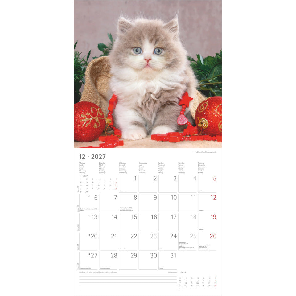 Bildkalender Samtpfötchen 2027, 30 x 30 cm, 1M/1S ZETTLER 105800 ZETTLER 105800 30x30cm
